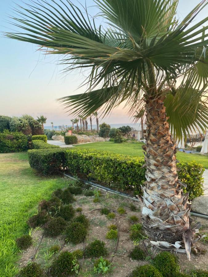 Royal Seacrest F G5 Ground Floor Apartment Paphos Exterior foto